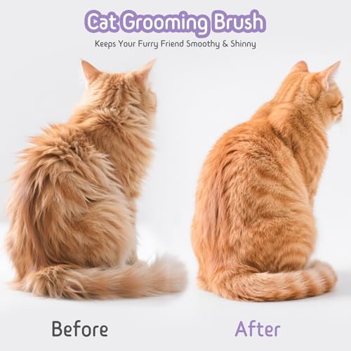 Dog & Cat Brush for Shedding (Purple)
