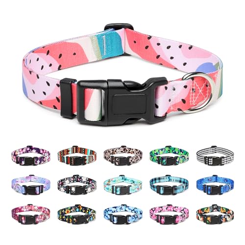 Adjustable Dog Collar (Medium / Watermelon)