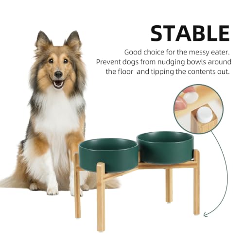 Dog Bowls Elevated (Matte Dark Green)