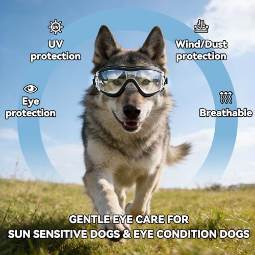 Dog Goggles Large Breed Windproof Anti (Large / Clear)