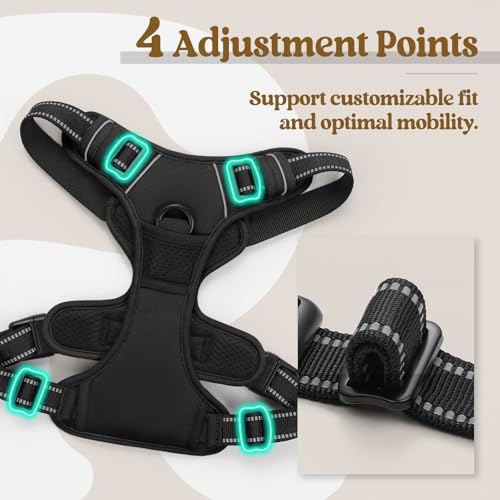 Dog Harness No Pull for Large Dogs with 2 Leash Clips (X-Large / Black)