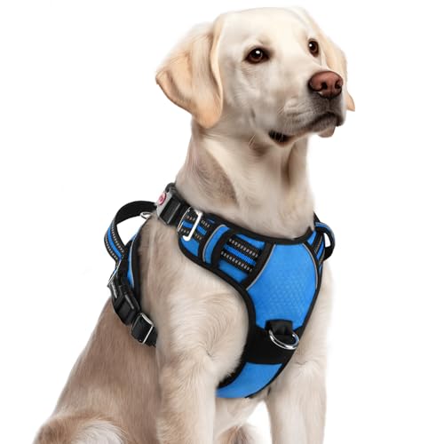 Dog Harness for Large (Blue / Large)