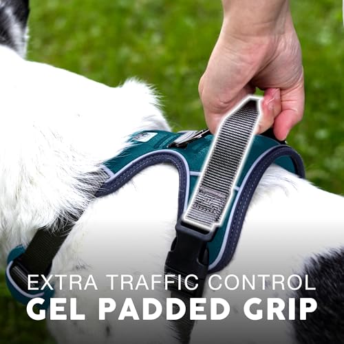 Embark No Pull Dog Harness (XL / Blue)