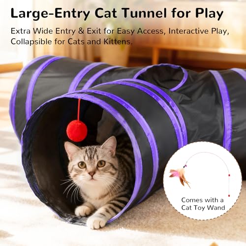 Cat Tunnel, 3-Way Collapsible Toy for Indoor Cats, Black & Purple (Black & Purple / Small)