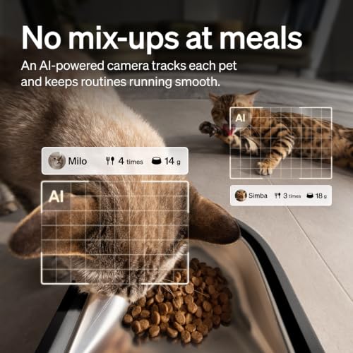 Automatic Cat Feeder with Camera (Black / 5l single bowl)
