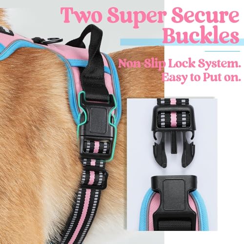 Dog Harness No Pull for Large Dogs with 2 Leash Clips (Large / Pink & Blue)