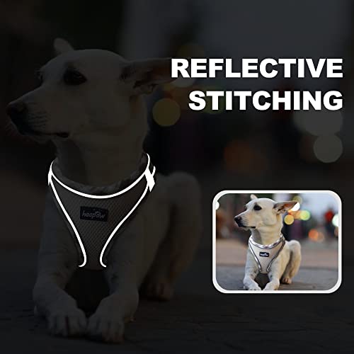 Dog Harness with Leash Set (L / Beige)