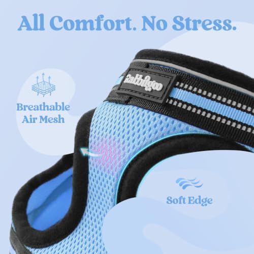 Cat Harness and Leash Set (XL / Light Blue)