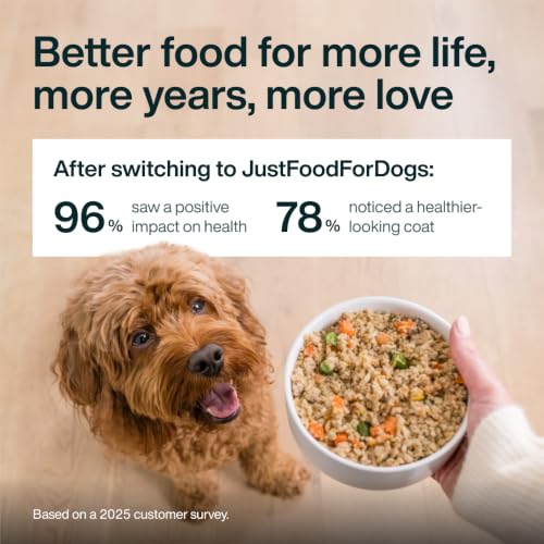 Pantry Fresh Wet Dog Food (12.5 Ounce (Pack of 6))