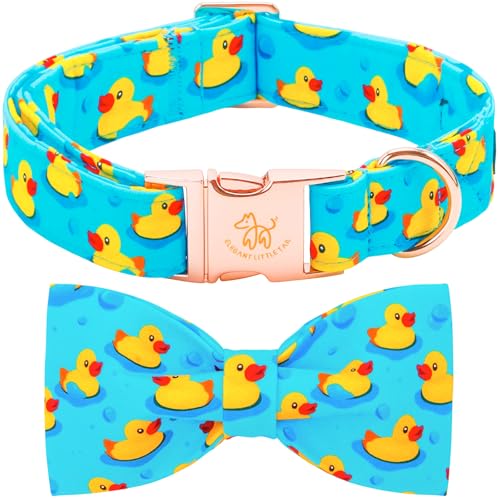 Boy Dog Collar (Duck / Small (Pack of 1))