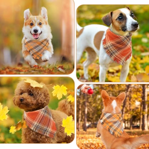 Fall Dog Bandana (Small / Fall)