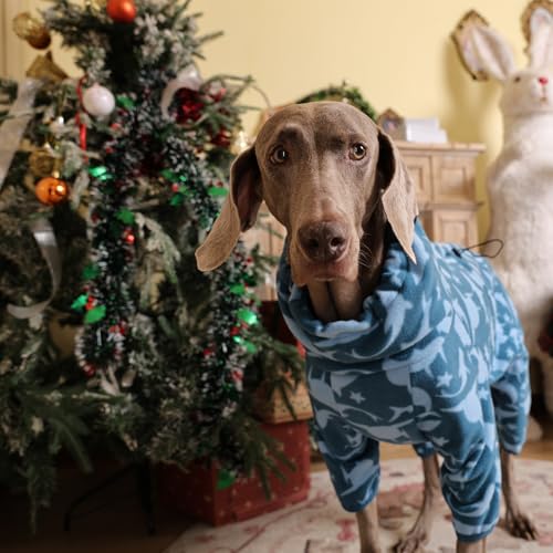 Dog Shark Outfit (L / Blue-shark)