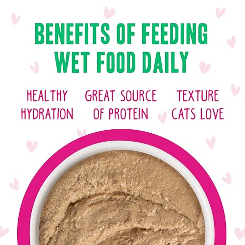 B.F.F. Play Best Feline Friend Paté Lovers (2.8 Ounce (Pack of 12))