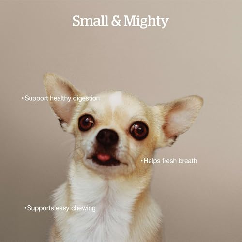 Small Breed Adult Dry Dog Food (6 Pound (Pack of 1))