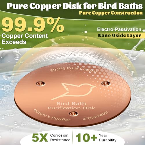 3 Pack Bird Bath Copper Disk (Copper/3PCS)