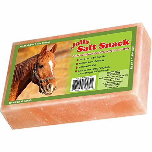100% Himalayan Salt Brick (4 Pound (Pack of 1))