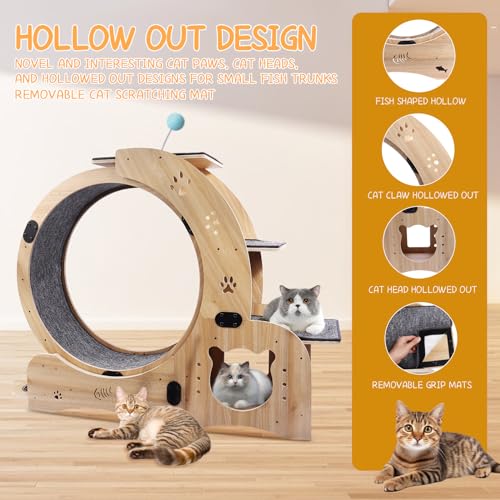 55" cat Wheel