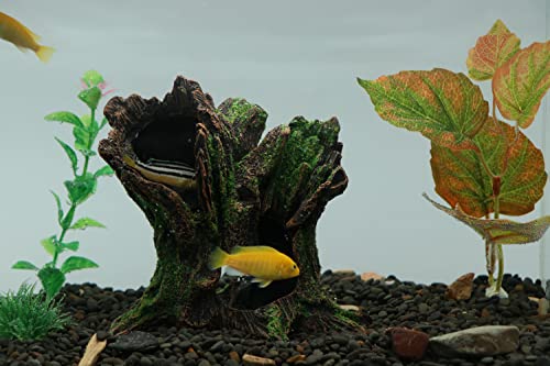 Aquarium Landscape Tree Stump Trunk Hollow Rock for Fish Hiding (Tree Stump)