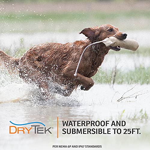 FieldTrainer 425X 2 Dog Remote Trainer (Gun Metal Grey / 2 Dogs)