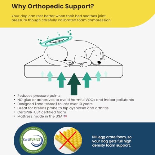 Tough Ripstop Orthopedic Crate Bed (Small (29" L x 18" W x 2" H) / Obsidian Black)