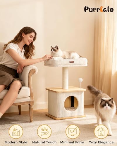 Small Cat Tree for Indoor Kittens (Ash Wood Finish / Small)