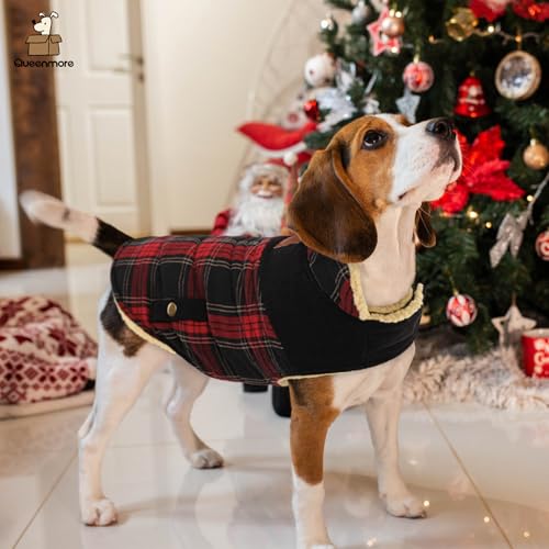 Plaid Dog Winter Coat Waterproof Cold Weather Warm Puffer Jacket (X-Small / Red-Black Plaid)