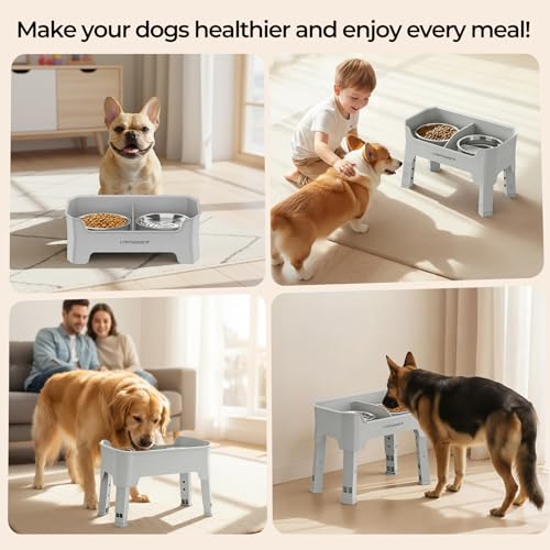 Mess Proof Elevated Dog Bowls (Light Grey / Medium)