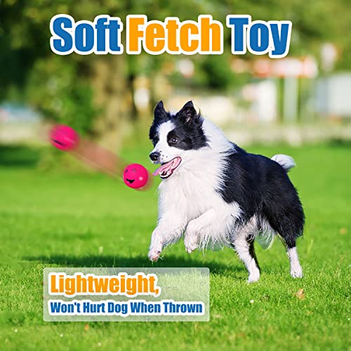 Squeaky Dog Toys for Medium Dogs (Regular Ball Multi-color / Medium)