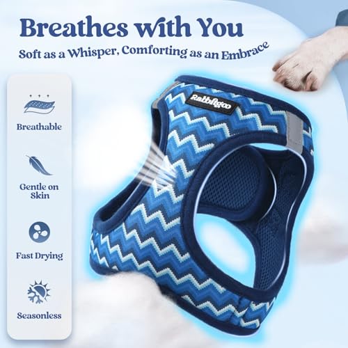 Dog Harness Medium Sized and Leash Set (Blue Zigzag / L (chest: 18.2 - 20.5"))