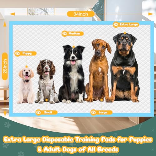 100 Count Extra Large Dog Pee Pads 28" x 34" (28"x34"-100 Count)