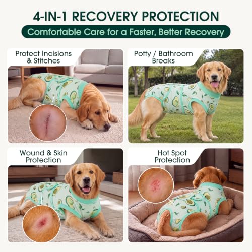 Recovery Suit for Dogs Cats (2x-large (Back:24.8-29.5'', Weight:70+ Lb) / Avocado Fresh)