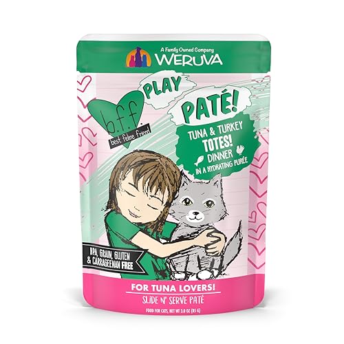 B.F.F. Play Best Feline Friend Paté Lovers (3 Ounce (Pack of 12))
