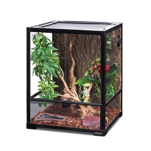 Reptile Glass Terrarium (Black and Clear)