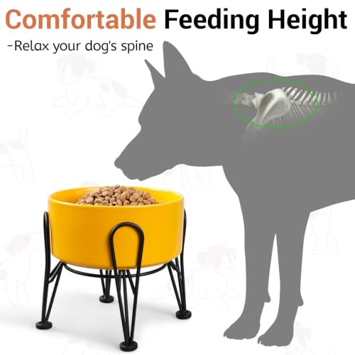 Elevated Dog Bowls (Yellow / 3.6 Cups | 2 Pack | For Medium Dogs)