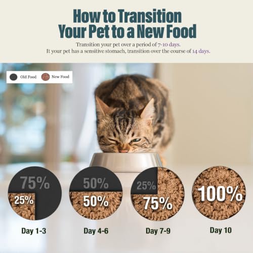 Wet Cat Food Variety Pack