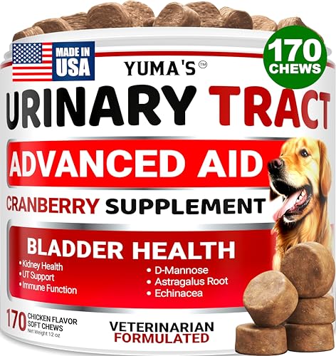 Cranberry Supplement for Dogs (Urinary & Bladder Multivitamin / 170 Chews)