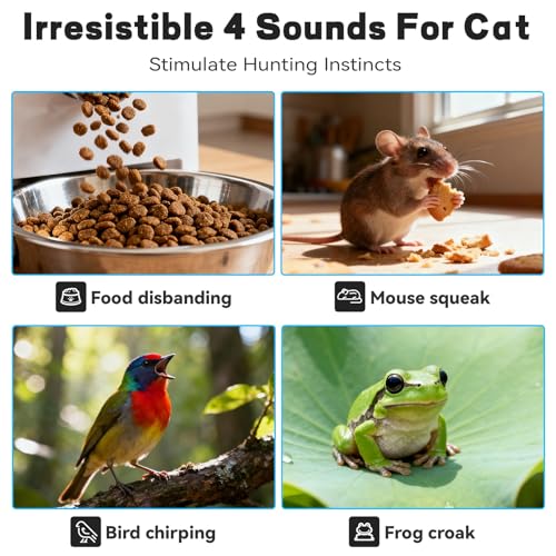 Interactive Cat Toy (No Cat No Life)