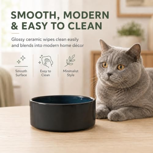 Cat Bowls Set of Two (Starry Sky)
