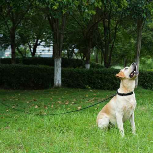 Long Dog Leash (Black / 50FT*0.4" Single Handle)