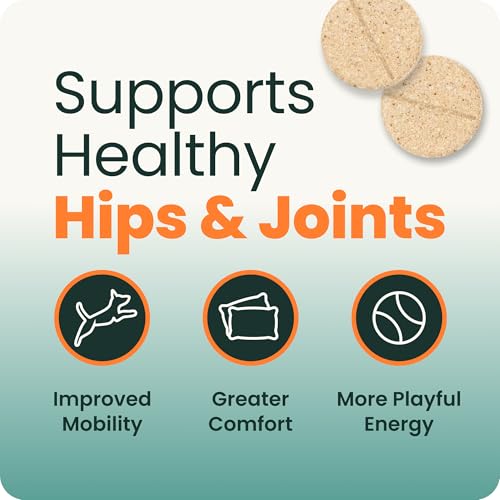 Extra Strength Healthy Hip & Joint for Dogs (120 Tablets)