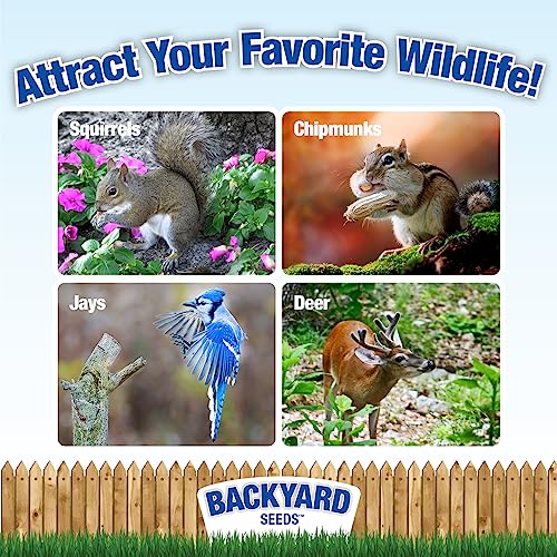 20LB Backyard Seeds Squirrel & Friends Wildlife Feed (20 Pound (Pack of 1))