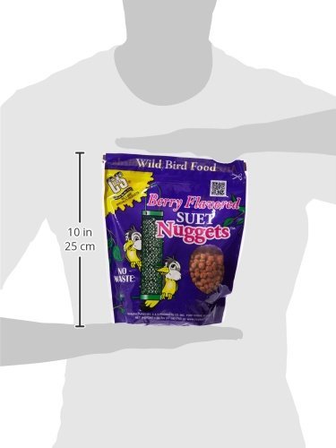 Berry Flavor Suet Nuggets (1.69 Pound (Pack of 1))