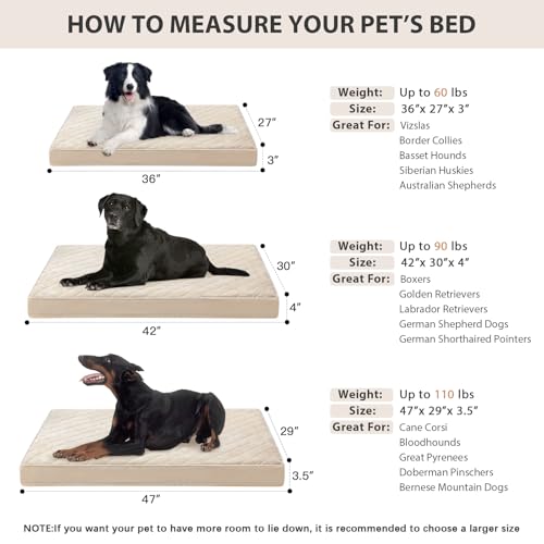 Orthopedic Waterproof Large Sized Senior Dogs Bed for Comfy Sleep (Beige / 36"L x 27"W x 3"Th)