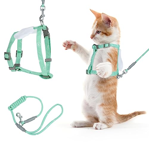 Cat Harness and Leash Set (Green)