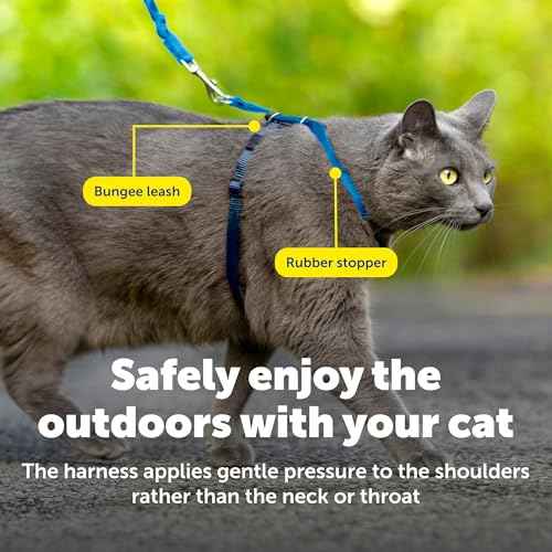 Come with Me Kitty Harness and Bungee Cat Leash (Medium (Pack of 1) / Royal Blue)