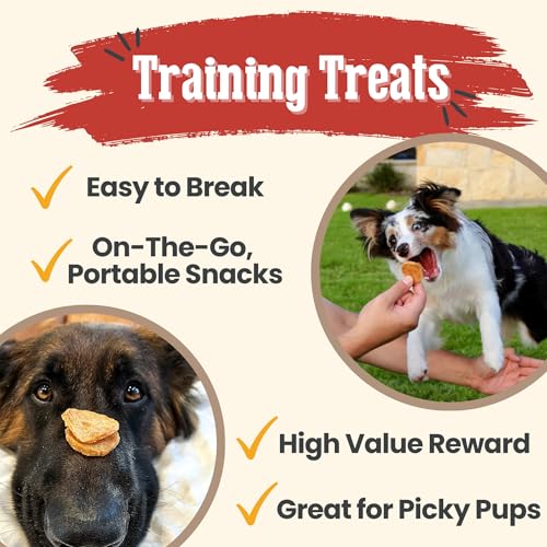 Dog Treats Chicken Chips (12 Ounce (Pack of 1))