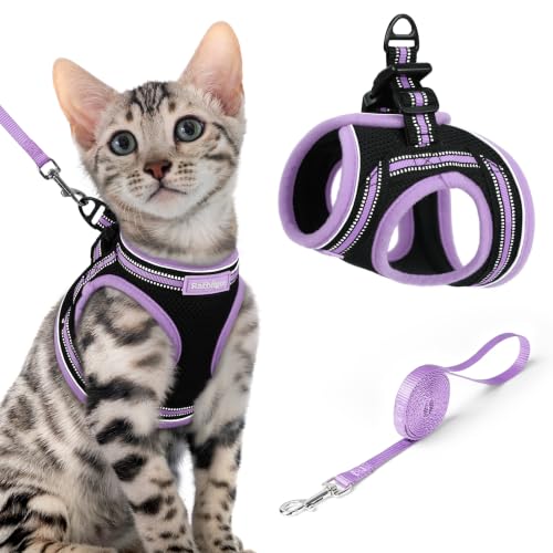 Cat Harness and Leash Set (XL / Black-Light Purple)