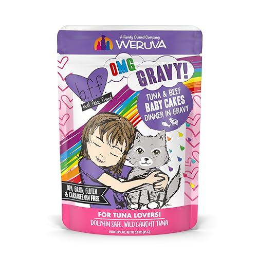 B.F.OMG Best Feline Friend Oh My Gravy! (3 Ounce (Pack of 12))