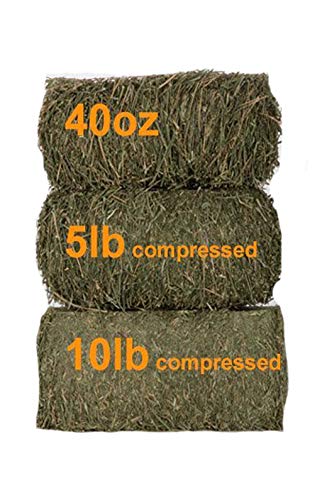 Alfalfa Hay 5 lbs (5 Pound (Pack of 1))