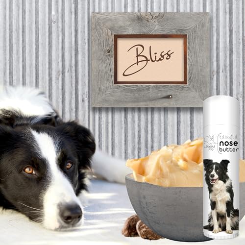Border Collie Nose Butter for Dry (Border Collie / 0.50 Ounce)
